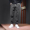 Mink cashmere cotton Harun pants warm sports casual pants men's autumn and winter pants loose tapered nine-point leggings 