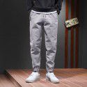 Mink cashmere cotton Harun pants warm sports casual pants men's autumn and winter pants loose tapered nine-point leggings 