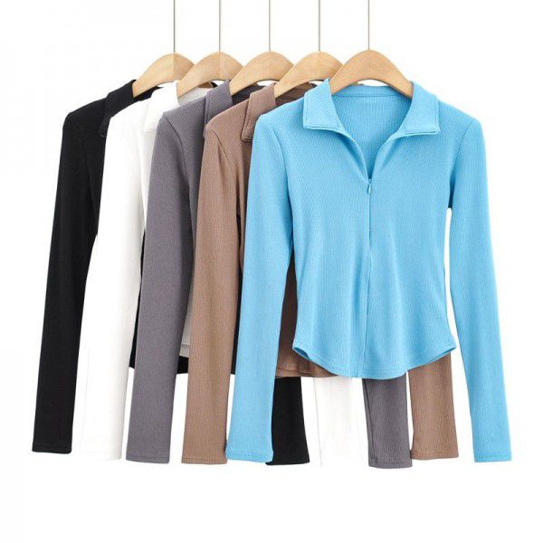 Korean basic slim zipper lapel net long-sleeved T-shirt top for women 