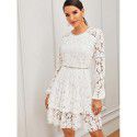 Dress Women's Lace Temperament Mid Waist Slim Fit Commuter White Hepburn Style Spliced Skirt Short Skirt