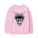 Pullover sweater long sleeved Korean loose casual top fleece women's round neck shirt