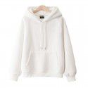 Cotton casual hooded pullover thickened plush solid color new spring and autumn versatile loose Japanese women's sweater 