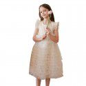 Summer girl dress, children's princess gauze skirt, stylish and elegant, flying sleeve cake skirt, delicate thousand layer mesh skirt