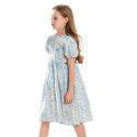 New summer clothing for middle-aged and young girls, bubble sleeved princess dress, stylish floral thin style dress