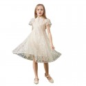 Girls' summer dress with lace embroidery, children's trendy princess dress, girls' summer dress