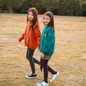 Girls' hoodie with plush autumn and winter clothing, new children's western-style long sleeved thickened top, printed children's clothing for middle-aged and young children